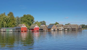 in Müritz National Park by Peter Eckert