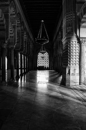 Jeu d'ombres à la Mezquita de Cordoue