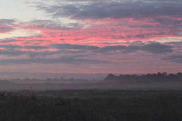 Morgenrood van Swirling Entities