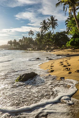 Tropical beach Sri Lanka