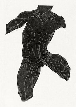 anatomie man met spieren, Reijer Stolk