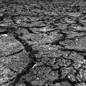 Dry, cracked soil by Tim Lotterman Photography