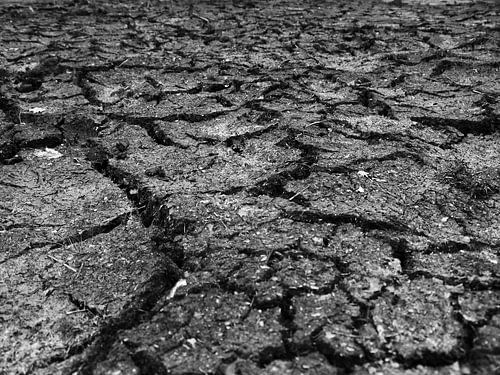 Droge, gescheurde grond van Tim Lotterman Photography