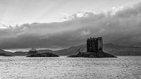 Castle stalker van Timo Bergenhenegouwen thumbnail