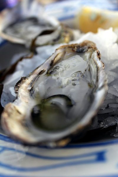 Fresh oysters on ice by Andie_Alpion