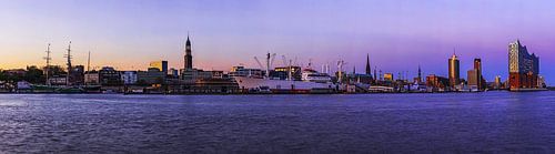 Hamburg Skyline Panorama bij zonsondergang