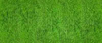 Green turf by Günter Albers thumbnail
