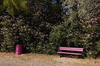 Roze tafereel in Istres, Provence, Frankrijk van Jochem Oomen thumbnail
