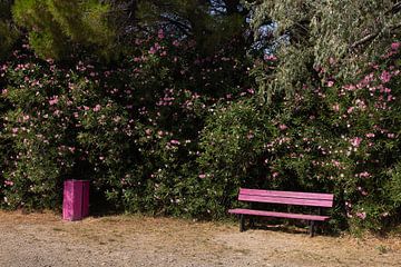 Pink scene in Istres, Provence, France by Jochem Oomen