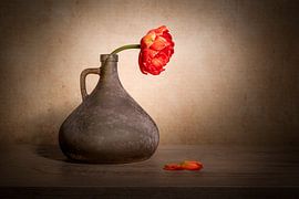 Klassiek stilleven met een pioentulp by John van de Gazelle fotografie