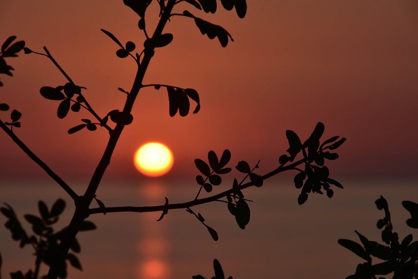 Coucher de soleil à Ifaty par Esther van der Linden