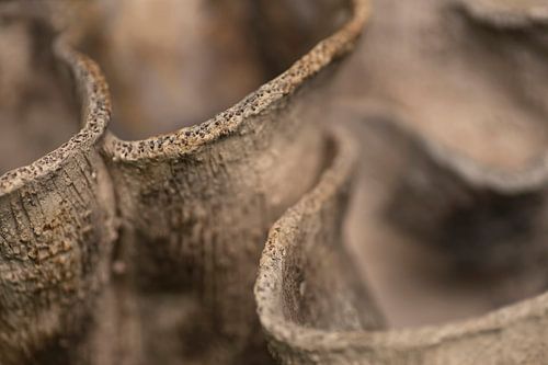 Kurven (Nahaufnahme von gewellten Linien einer Keramik in natürlichen Farben)