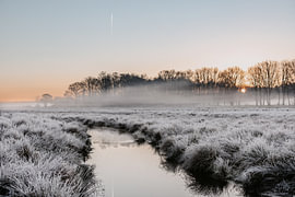 Winter magic van Marloes Mol