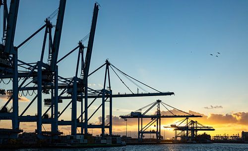 Coucher de soleil sur la Maasvlakte à Rotterdam