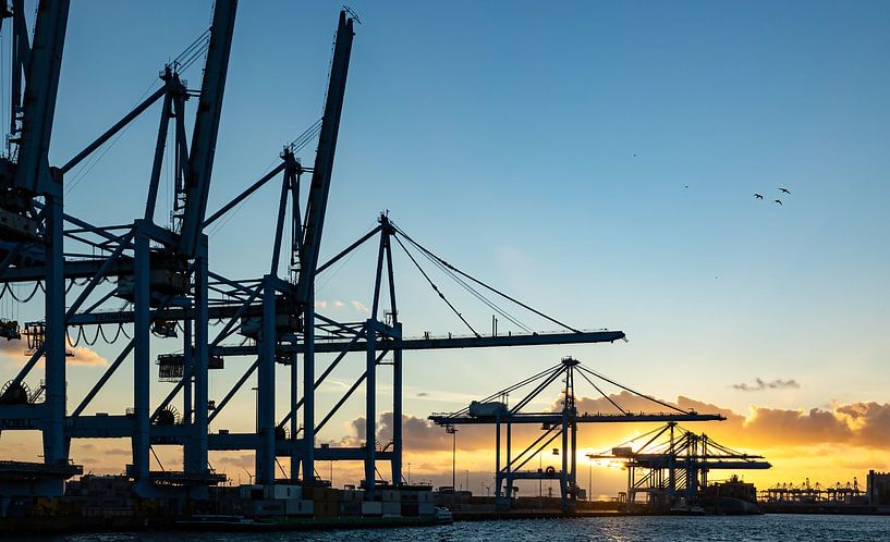 Sunset at Maasvlakte in Rotterdam by Vincent Verdoold Photography