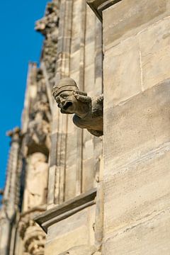 Gargoyle at Magdeburg Cathedral by Heiko Kueverling