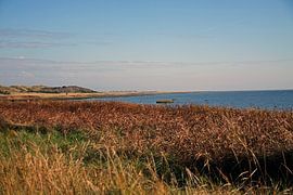 t Oerd, Ameland by Nienke Stegeman
