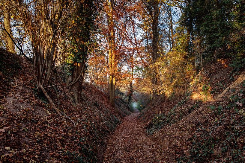 Holle weg Berghöf van Rob Boon