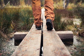 The Adventure Awaits – Hiking along the Boardwalk