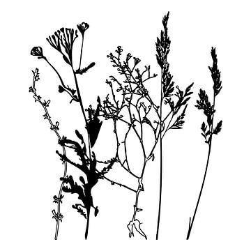 Botanische illustratie met planten, wilde bloemen en grassen 9.  Zwart wit. van Dina Dankers