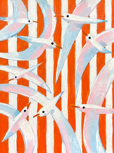 Coastal Birds