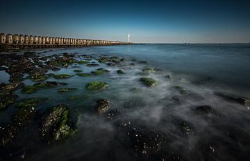 Rowing Head Vlissingen by Linda Raaphorst