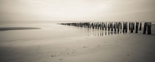 Panorama strand Domburg
