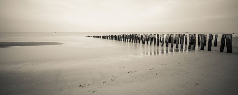 Panorama strand Domburg van Daniël Steenbergen