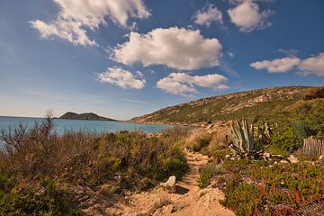 Küste an der Cote d'Azur von Tanja Voigt