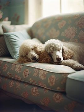 Sleeping Poodles by Treechild