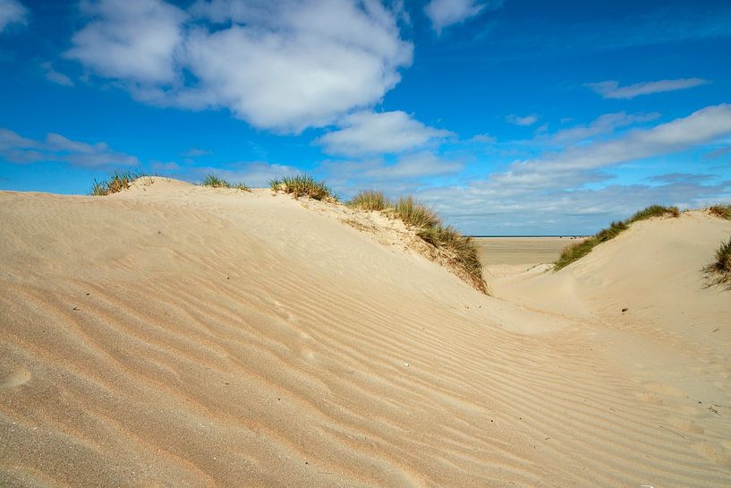 North Sea Dunes by Kirsten Warner