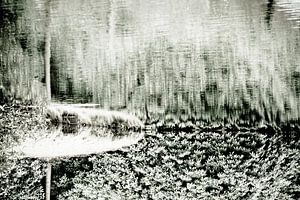 Wasser | Abstrakt von Henriëtte Mosselman