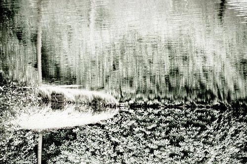 Water | Abstract