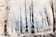 Winter in het loofbos van Tanja Riedel thumbnail
