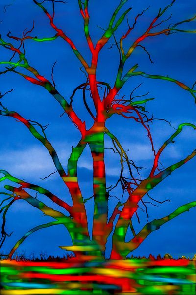 Baum im Herbst von Stephan Zaun