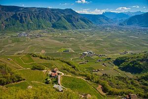Weinberge in Südtirol rund um Eppan