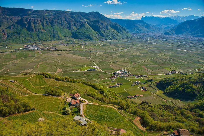 Vignobles dans le Tyrol du Sud autour d&#039;Eppan par Tanja Voigt