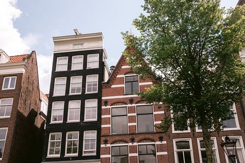 Amsterdamse grachten panden