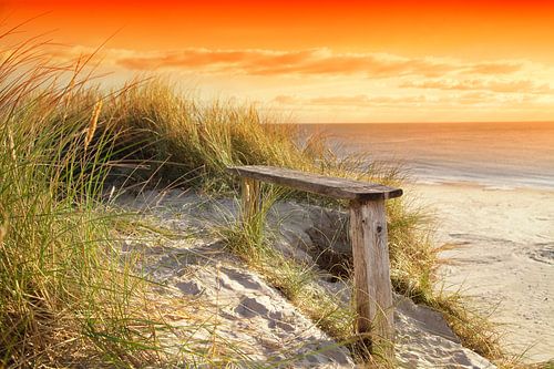 Bench