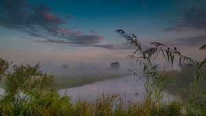 Paysage brumeux primitif hollandais