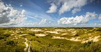 Dunes panoramiques de Katwijk par Martijn van der Nat Aperçu
