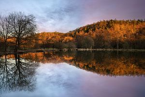 Fischteich bei Lindlar, Bergisches Land, Deutschland