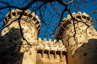 Valencia City Gate Torres de Quart by Dieter Walther thumbnail