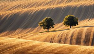 Goldene Herbstlandschaft