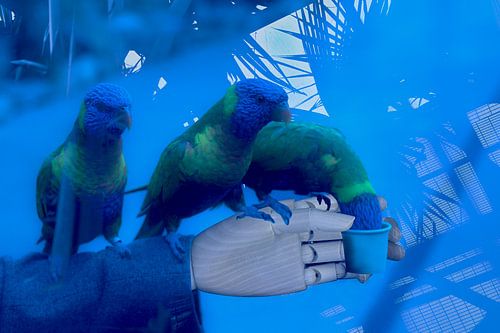 Die Gedichte, die Sie gelesen haben