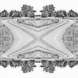 The endless walk on the Strabrechtse Heide by JacArt Prints