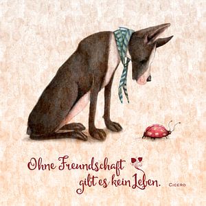 LEBENSWEISHEIT Freundschaft 