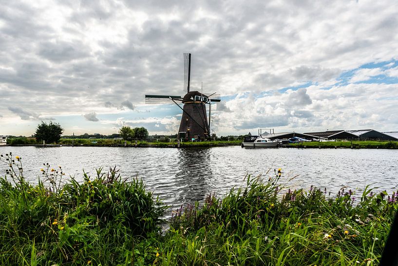 Windmills in the Netherlands by Brian Morgan