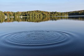 Spiegelung auf dem See im Herbst von Claude Laprise