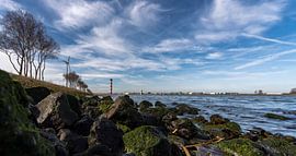 Aangespoeld by Peter Hoogeveen